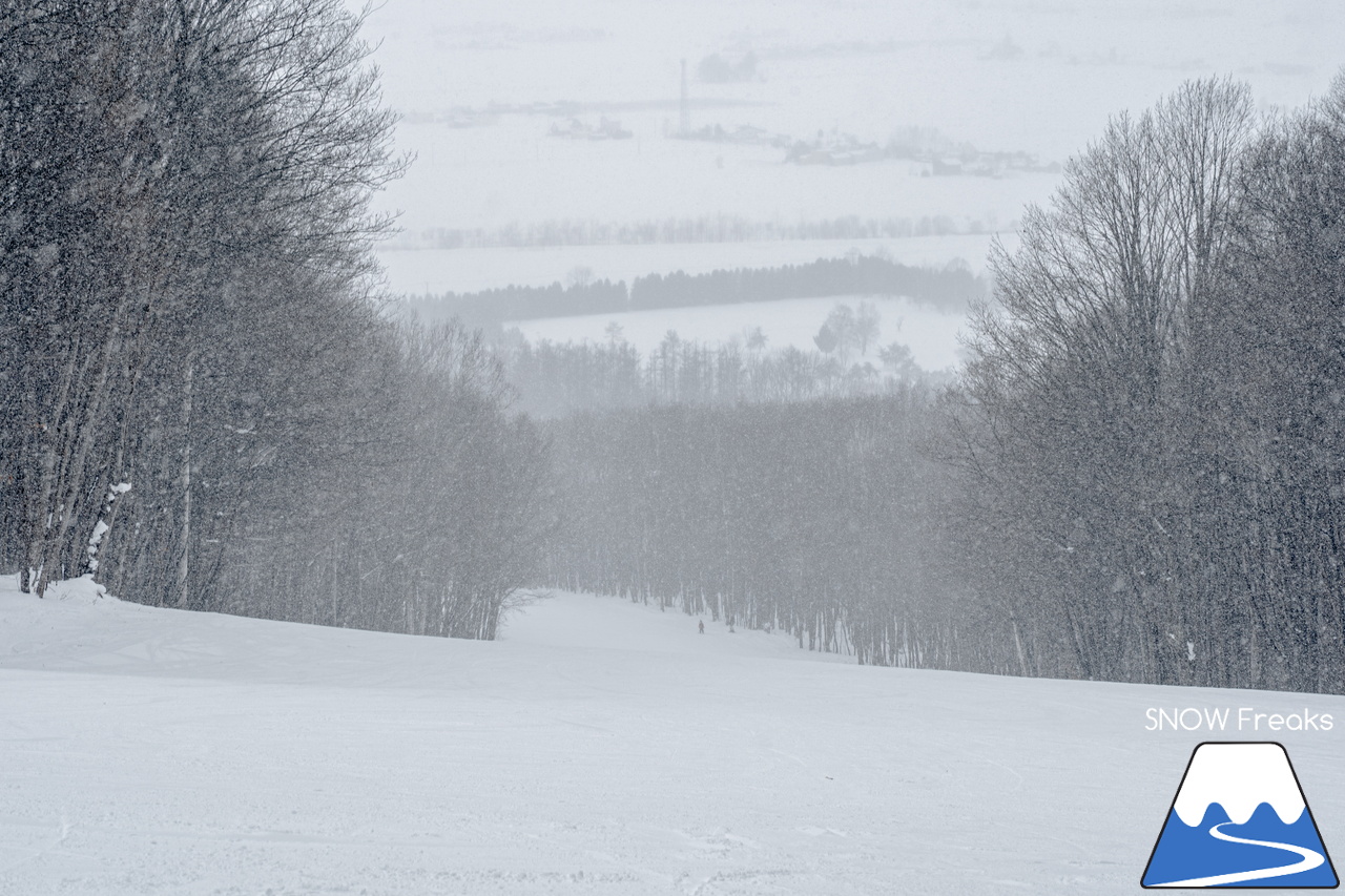 キャンモアスキービレッジ｜アットホームな人の優しさがもたらす、居心地の良さ…。スペックなどの数字では表すことが出来ない、スケール感の大きな素晴らしきローカルスキー場♪